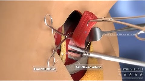 3D Animation Demo Reel - Austin Visuals