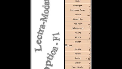 Lectra Modaris Option-F1 || How to operate lectra? || Lectra option details
