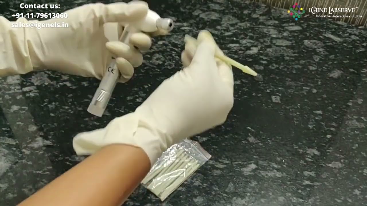 Mini Hand Held Homogenizer |  Handheld Homogenizer | iGene Labserve