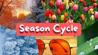 Season Cycle | Short Note On Season Cycle #seasoncycle
