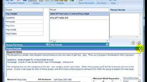 Introduction to Niche Blueprints.