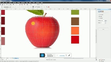 Apple design mesh fill coral draw