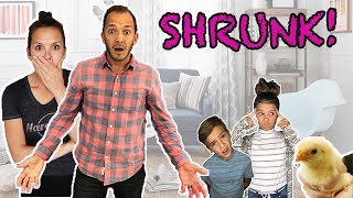 HONEY We SHRUNK them!! spell book series episode 10 HONEY We SHRUNK them!! spell book series episode 10