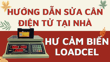 Hướng Dẫn Sửa Cân Điện Tử Tại Nhà – Khắc Phục Lỗi Cảm Biến Loadcell Nhảy Số, Loạn Cân, Sai Kết Quả