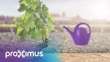 Proximus: The Internet of Things (IoT)