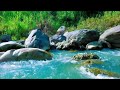 24/7 Calming River Stream – Peaceful Water Flow &amp; Green Noise for Sleep and Relaxation
