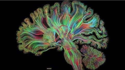 Self Reflected - A First Look