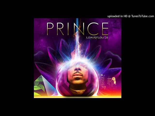 Prince - Dreamer