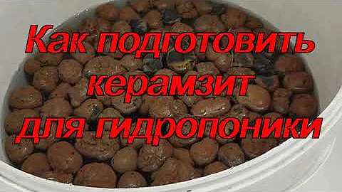 Как подготовить керамзит для гидропоники
