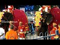 Horse Bulls and elephant walk at Tirupati tirumalai Urchavam