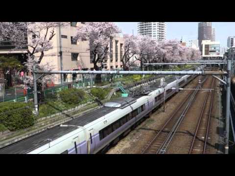 【特急離合】E257系かいじ　E351系スーパーあずさ　東中野の桜　中央本線