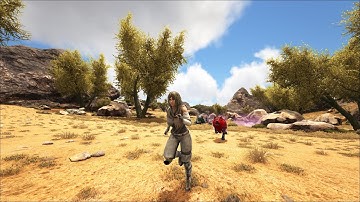 LOST ISLAND: I NEED TO TAME.... LITERALLY ANYTHING....