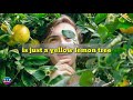 Lemon Tree - TikToK Music | DJ DESA Remix | w/ Lyrics