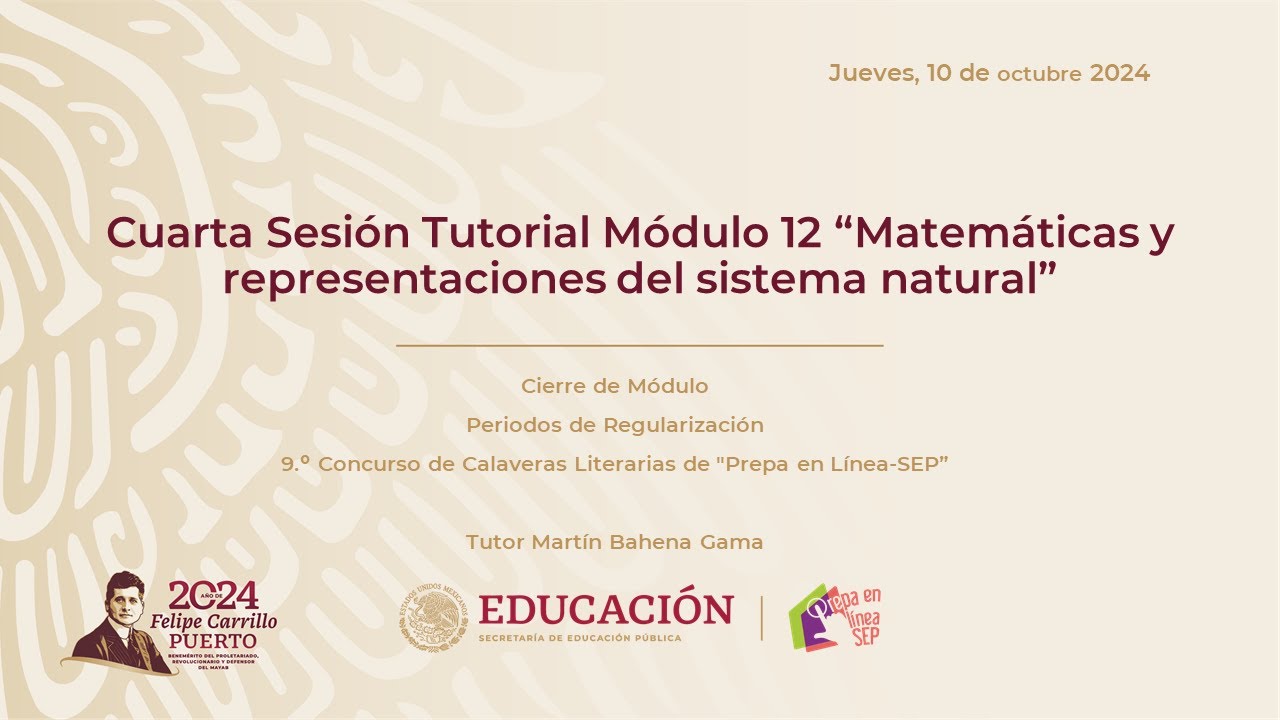 Cuarta Sesión Tutorial Módulo 12 “Matemáticas y representaciones del