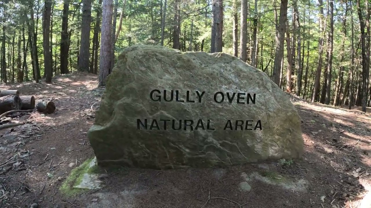 Gully oven park, Lebanon Maine.