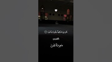 قرآن_كريم إِنَّ أَصْحَابَ الْجَنَّةِ الْيَوْمَ فِي شُغُلٍ فَاكِهُونَ #قرآن كريم #احمد_النفيس