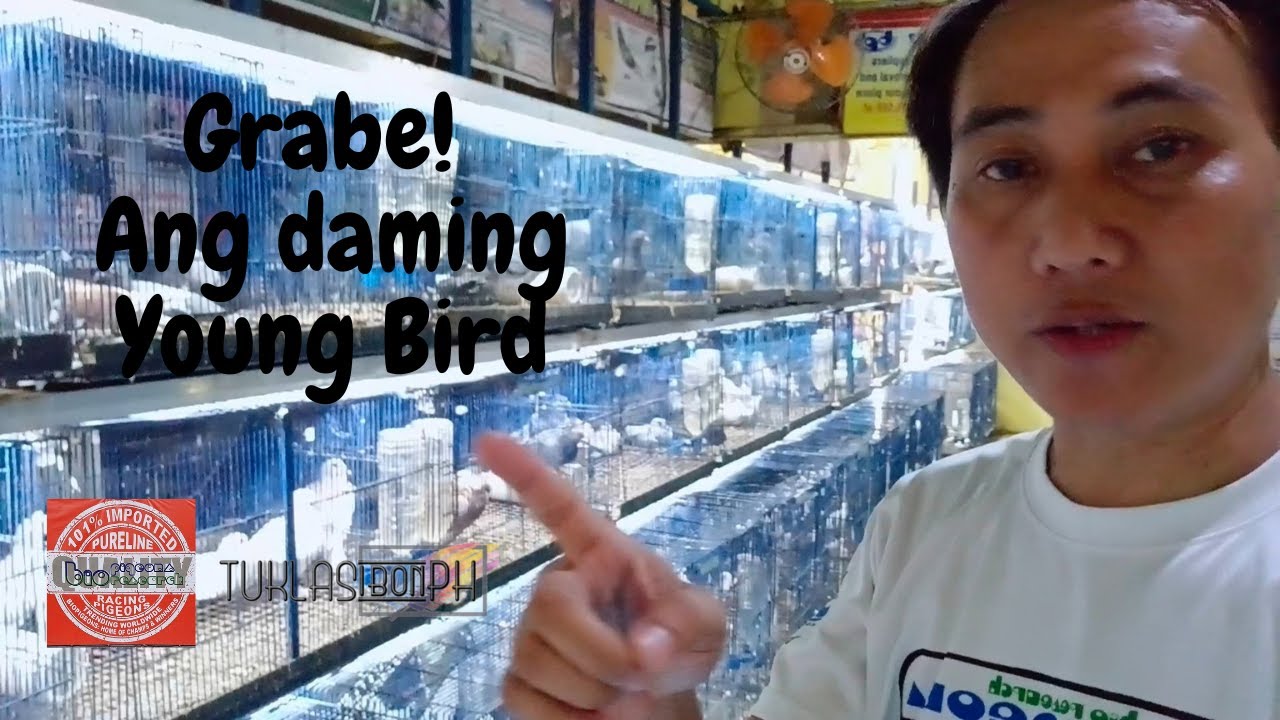 Daming Young Bird sa Bio Pigeons na naka-Promo (June 2025) | Bio Research | TUKLASibonPH