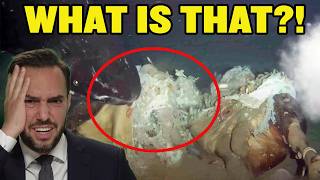 China Sinks a Dead Cow Into the Ocean