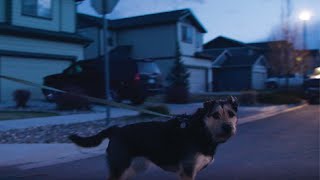 Bright Stories: LED Streetlights