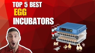 Top 5 Best Egg Incubators In 2025