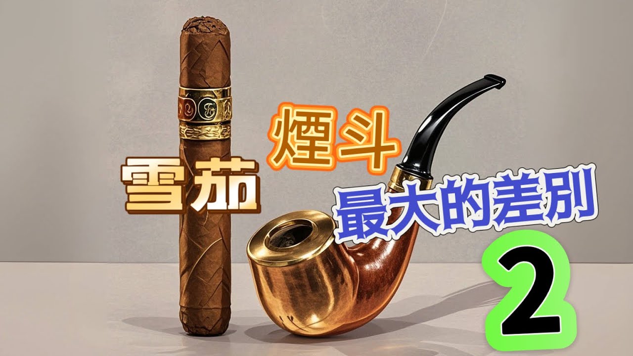 雪茄和煙鬥最大的差別(2)。龍鞘是專注於天然煙草的火焰型新型煙具，想抽時就抽一口，不想抽隨時扔一邊不用管，會自動熄滅，非常節省煙草，風味也非常好。 | 雪茄 | 香菸 | 戒菸 | 煙鬥 | 煙民