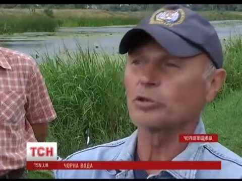 Що забруднює річку Остер на Чернігівщині