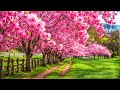 Relaxing music  heals stress and depressive conditions  deeply pleasing for the soul