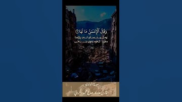 سورة الزلزلة كاملة ،القارئ هاوکار صالح محمد الكردي #الهم_صلي_على_محمد_وأل_محمد