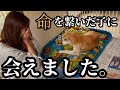 【これが現実です】彷徨っていた柴犬の命を繋ぎました…その後、会いに行ってきました。