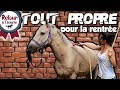 RETOUR À L’ÉCURIE IV - UN PONEY TOUT PROPRE POUR LA RENTREE