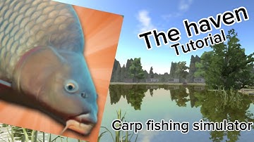The haven beginner tutorial carp fishing simulator 