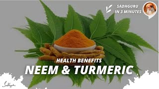 Health benefits of Neem and Turmeric | Sadhguru in 3 mins