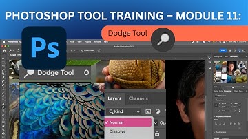 Photoshop 2025 Tool Training – Module 11: Dodge Tool