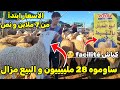 عاجل الكل يتحدث عن تراجع في أسعار كباش عيد الأضحى 2026 كبش العيد سوق المواشي اليوم العلوش 