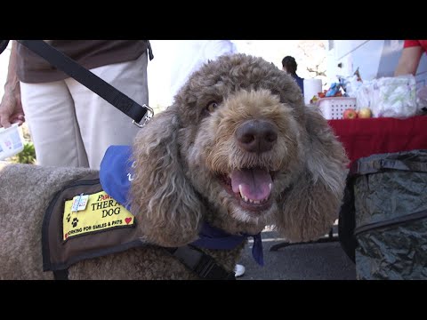 child life insurance policies with flexible terms