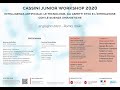 CASSINI JUNIOR WORKSHOP 2020 @SSAS - Sessione mattutina
