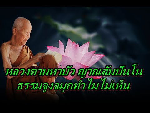 หลวงตามหาบัว ญาณสัมปันโน ธรรมจูงจมูกทำไมไม่เห็น