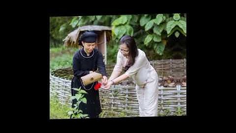 Bản làng sàn Khu bảo tồn dân tộc Thái Hải