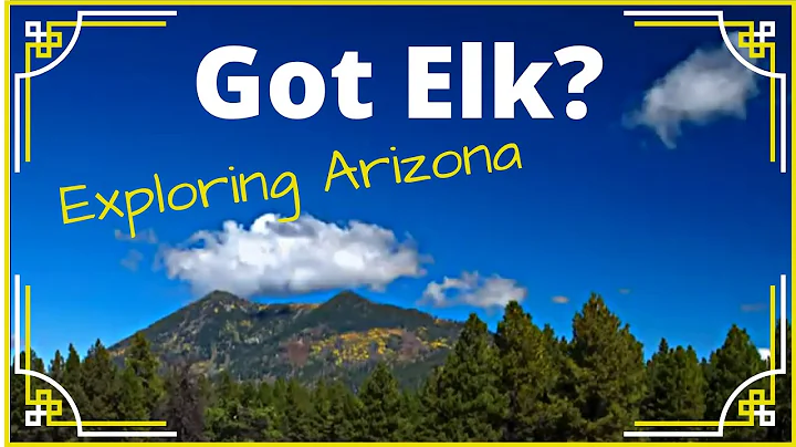 Exploring The Coconino National Forrest | Flagstaf...