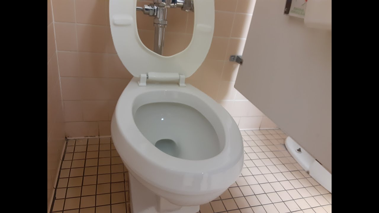 265. Eljer Sanus Toilet YouTube