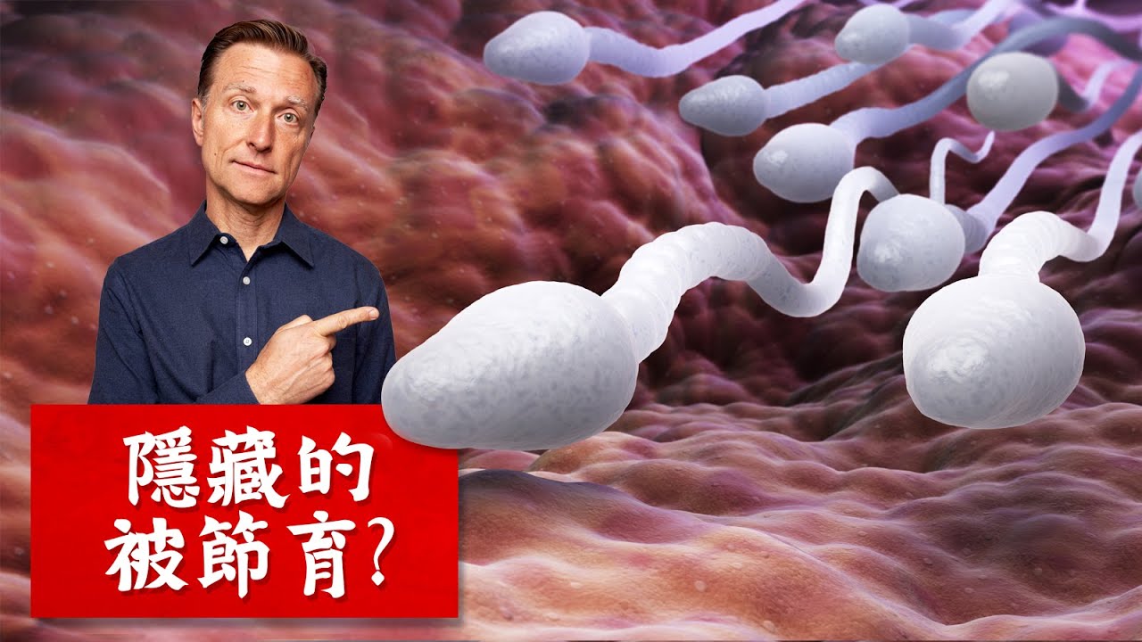 不知不覺中被節育了？了解黃豆食品,柏格醫生 Dr Berg