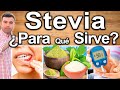 ESTEVIA O STEVIA CURA TODO - ¿Para Qué Sirve? - Beneficios De La Stevia Para Tu Salud Y Belleza