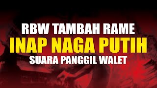 SUARA PANGGIL WALET 2023 | INAP NAGA PUTIH