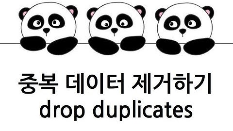 [Pandas 강의] 중복 데이터 삭제하기 (drop duplicates)