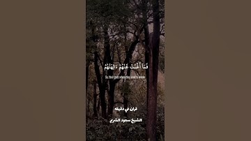 قران كريم ارح قلبك وسمعك #قران #المصحف #سعود_الشريم #quran #قران_في_دقيقه@قران_في_دقيقة