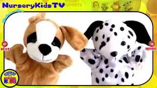 A - B - C - D Rhyme Cute Puppy Dogs Puppet Video Nursery Rhymes