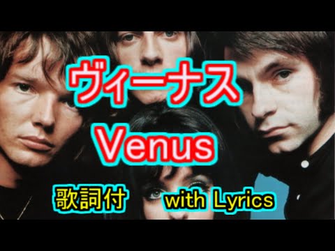 ヴィーナス Venus ショッキング・ブルー Shocking Blue 【＃L7
