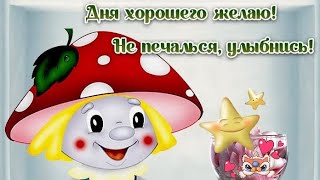 Дня Хорошего Желаю! Не Печалься, Улыбнись!