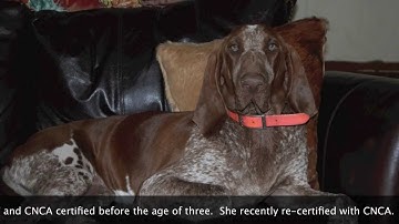 Confessions of a ScentLogix User!!!