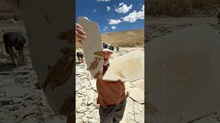 10/10 would do again 🤙🏼 #fossilhunting #sidequest #summeractivities